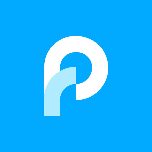 PaySocial Logo